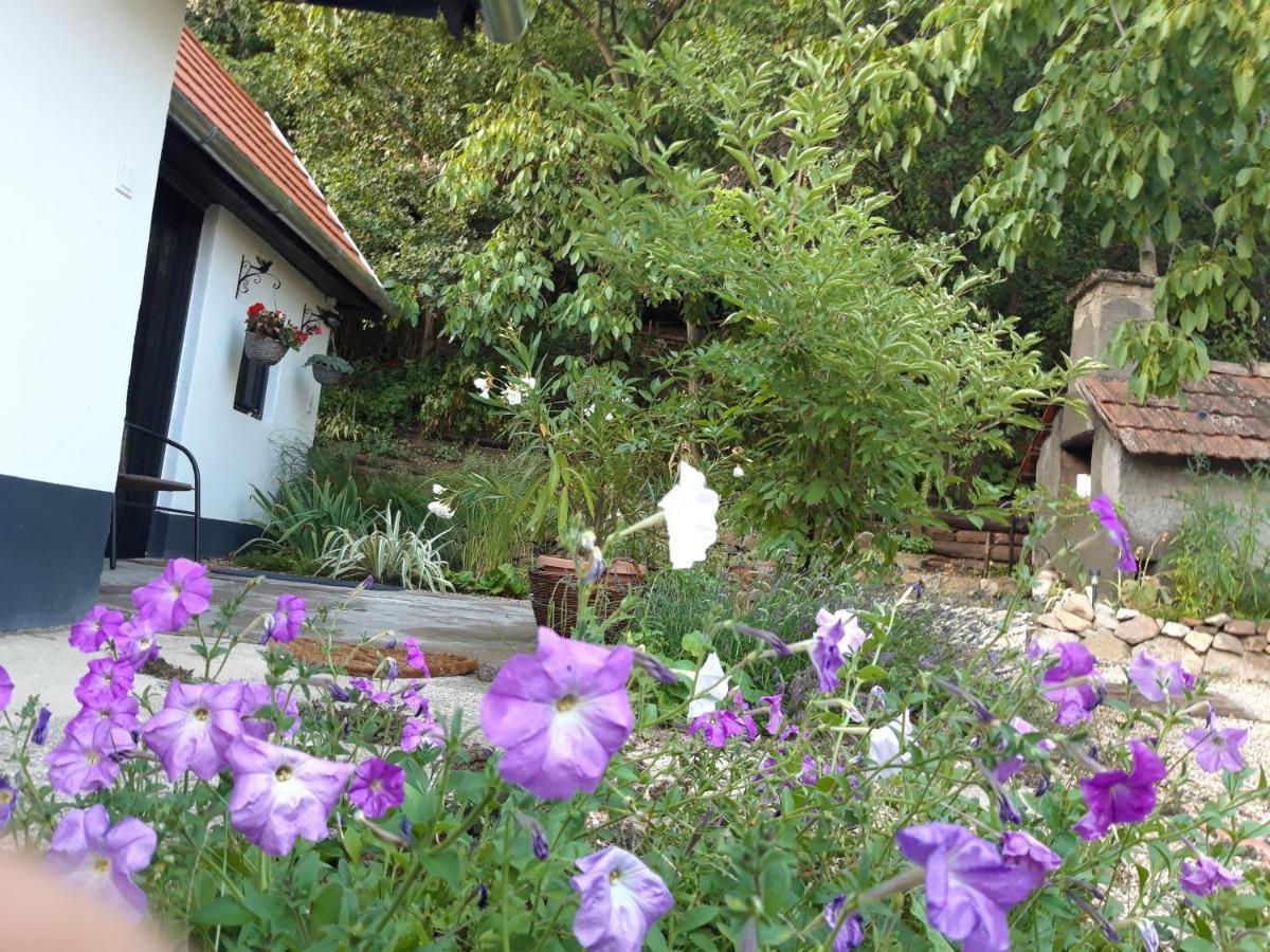 Ferienwohnung Kismadar Vendeghaz Noszvaj Exterior foto