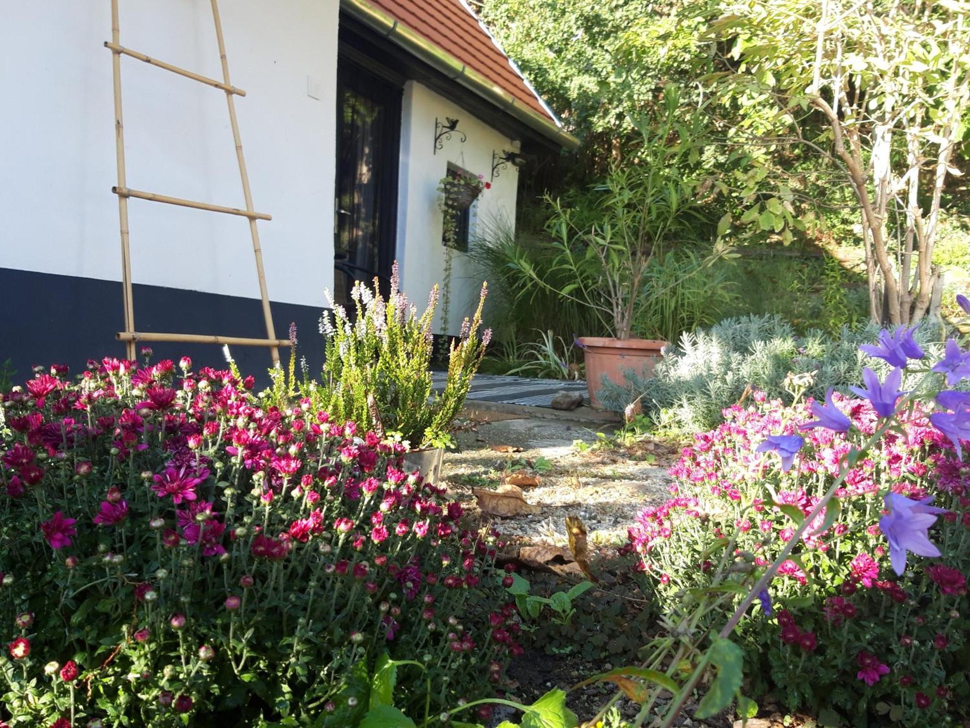 Ferienwohnung Kismadar Vendeghaz Noszvaj Zimmer foto